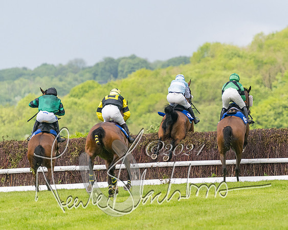 Race 4 - Mixed Open (223 of 591)
