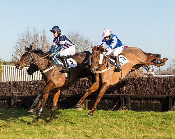 Race 2 - PPORA Novice Riders  (96 of 205)