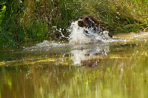 WCGB-04AUG-2013 Water Training Day 188