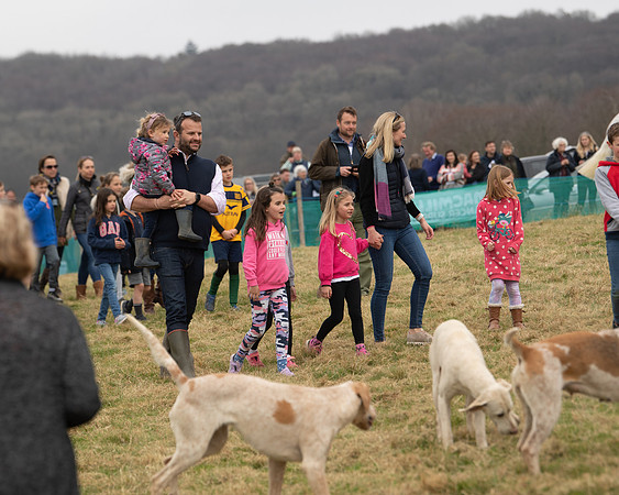 Hounds and Others (58 of 100)