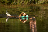 WCGB-04AUG-2013 Water Training Day  13