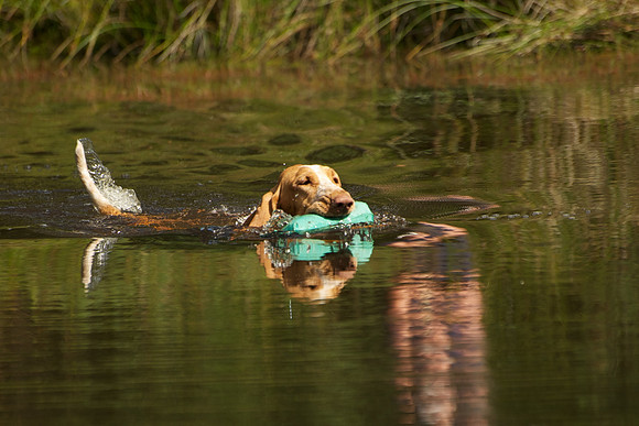 WCGB-04AUG-2013 Water Training Day  13