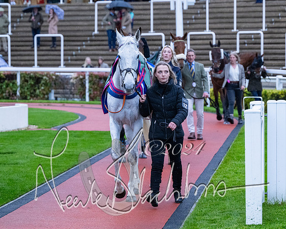 Race 7 - Glos Hussars (4 of 220)