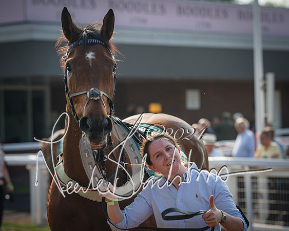 Race 2 - The Venatour sports travel intermediate point to point hunters’ steeplechase 5 year olds and over 3m2f (7 of 163)