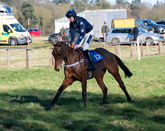 Race 5 - Maiden (14 of 123)