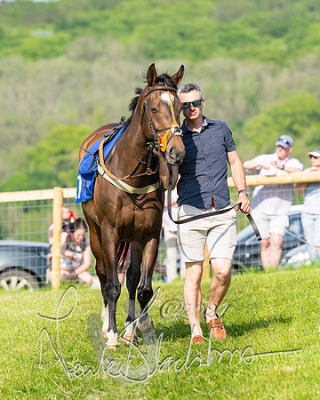 Race 5  - Maiden race 2m5F Div-2 (2 of 205)