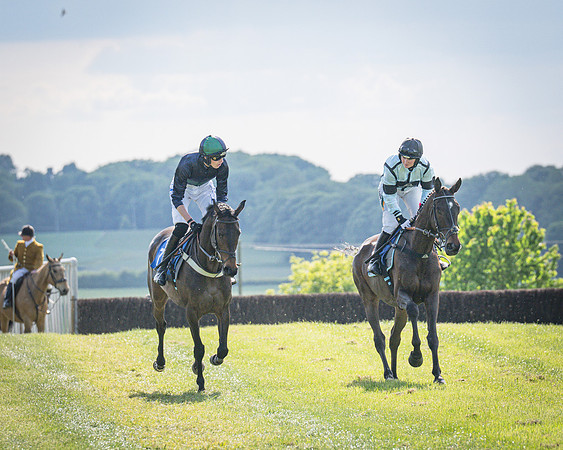 Race 5 - The Richardsons Accountants Maiden Race (23 of 155)