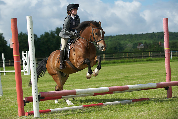 SOHS PC Summer Show at BCA 17th June 2012