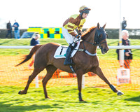 Race 5 - TBA members Mares and Fillies race (9 of 101).jpg