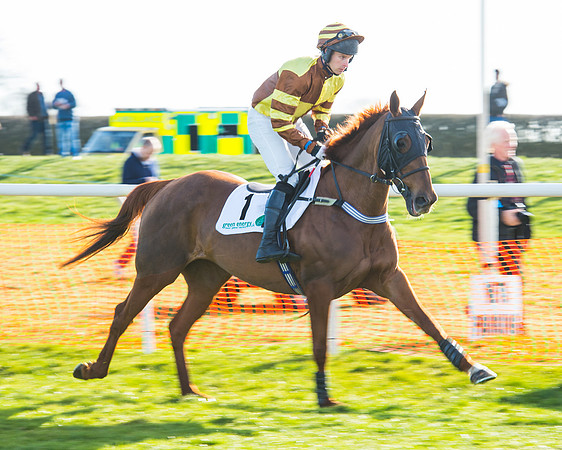 Race 5 - TBA members Mares and Fillies race (9 of 101).jpg