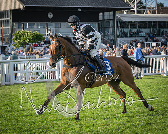Race 4 - Peretemps Stratford Foxhunters (41 of 168)