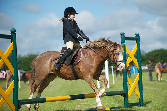 SOHS PC Summer Show at BCA 17th June 2012