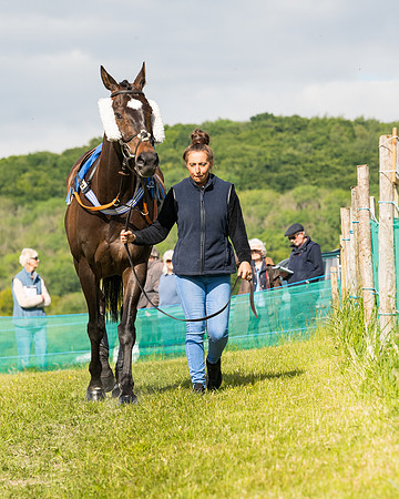 Race 5 - Restricted  (3 of 136)