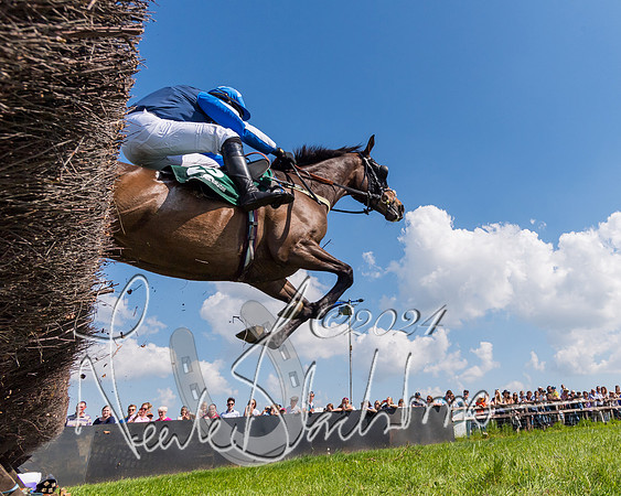 Race 2 - The Maiden  (229 of 442)