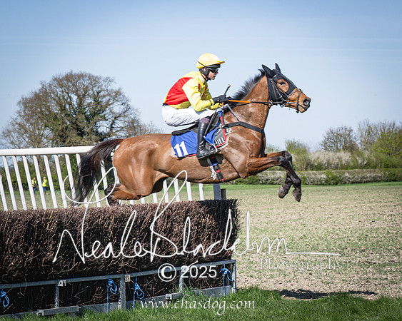 Race 5 - The restricted (47 of 113)