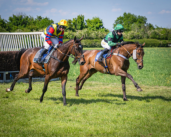 Race 3 The College and County Ladies Open Race (72 of 122)