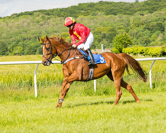 Race 5 - Restricted  (21 of 136)