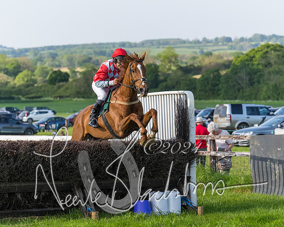 Race 7 - Veteran Horse (173 of 246)