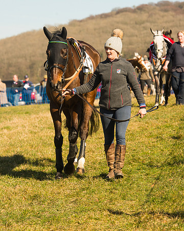 Race 1 Div 2 - 2M4F Maiden (10 of 113).jpg