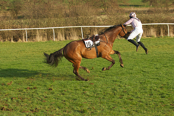Race 7 - 32