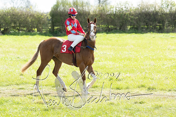 Open Pony Race  (6 of 131)