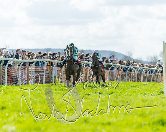 Open Pony Race  (24 of 131)