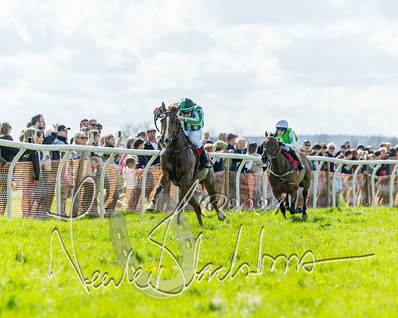 Open Pony Race  (40 of 131)