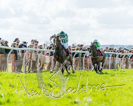 Open Pony Race  (41 of 131)