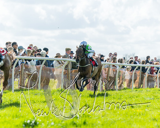 Open Pony Race  (52 of 131)