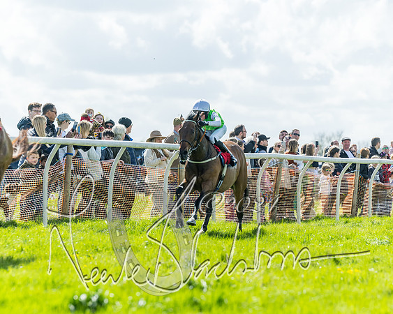 Open Pony Race  (53 of 131)