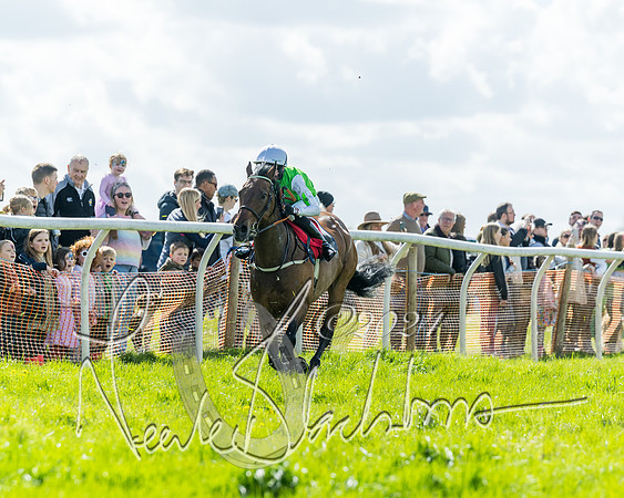 Open Pony Race  (59 of 131)