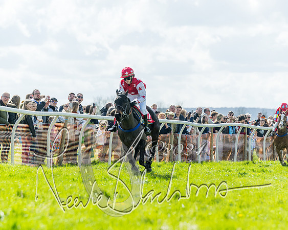 Open Pony Race  (62 of 131)