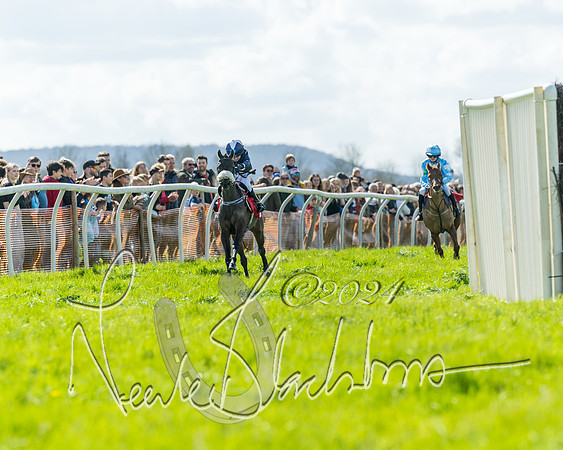 Open Pony Race  (74 of 131)