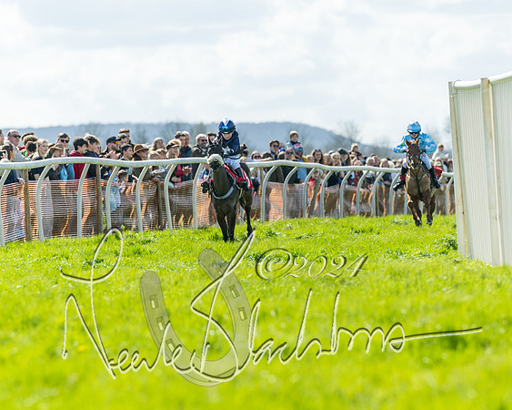 Open Pony Race  (76 of 131)