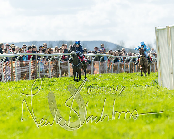 Open Pony Race  (77 of 131)