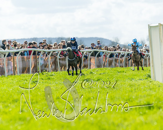 Open Pony Race  (78 of 131)