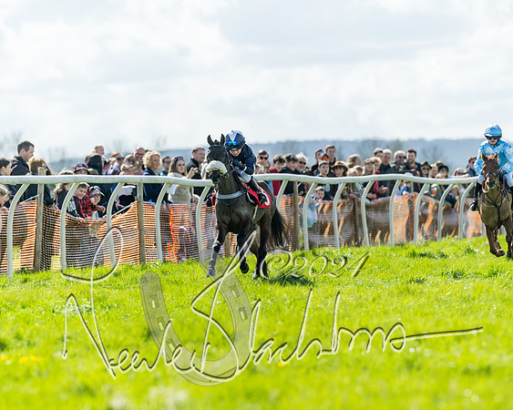 Open Pony Race  (80 of 131)