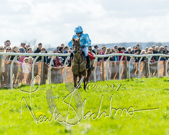 Open Pony Race  (89 of 131)