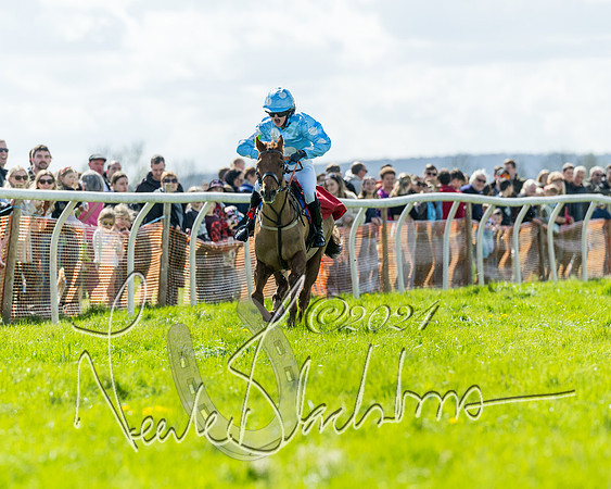 Open Pony Race  (90 of 131)