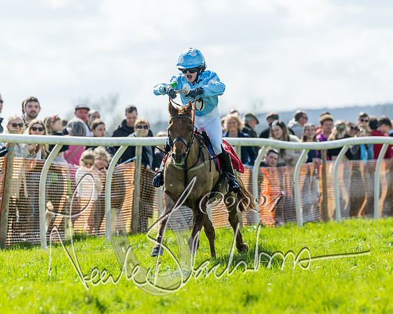Open Pony Race  (94 of 131)