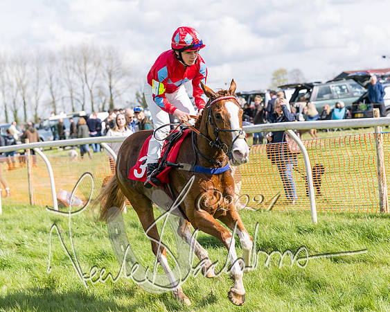 Open Pony Race  (104 of 131)