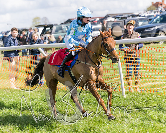 Open Pony Race  (106 of 131)