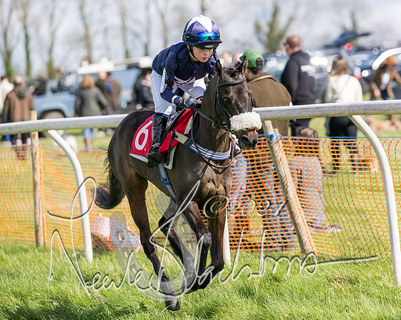 Open Pony Race  (108 of 131)