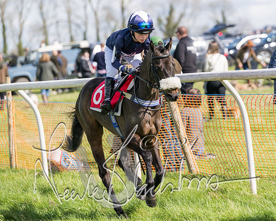 Open Pony Race  (109 of 131)