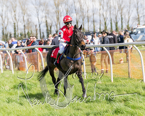 Open Pony Race  (111 of 131)