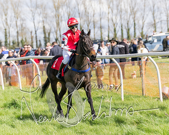 Open Pony Race  (112 of 131)