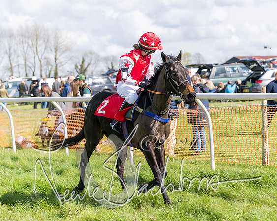 Open Pony Race  (113 of 131)