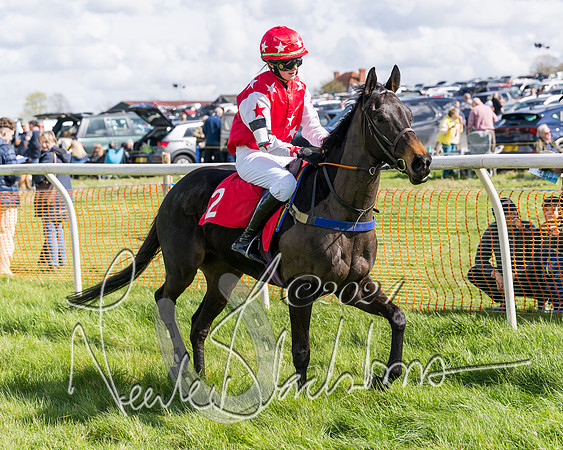 Open Pony Race  (114 of 131)