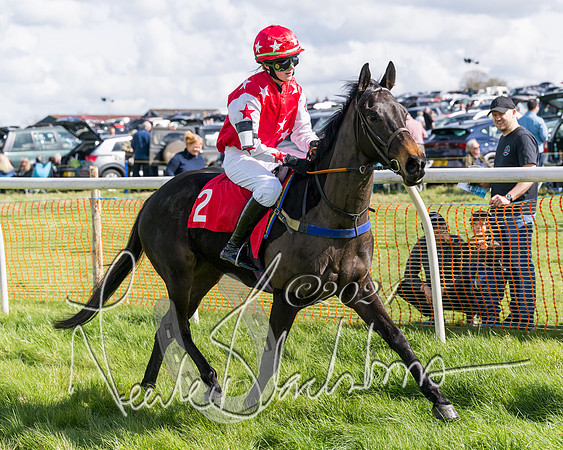 Open Pony Race  (115 of 131)