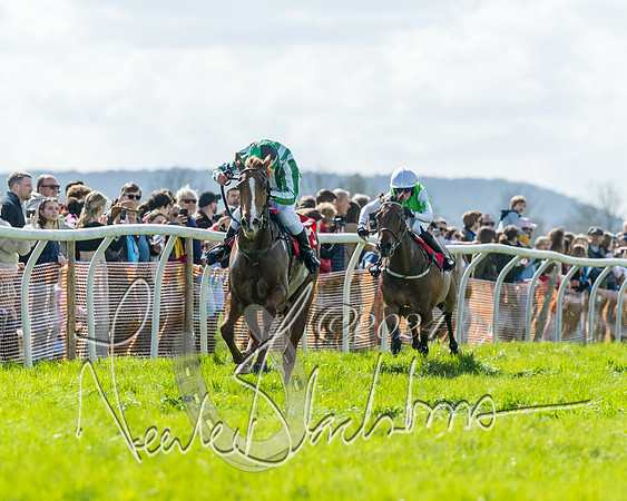 Open Pony Race  (26 of 131)